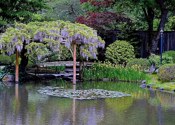 Nature