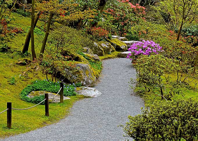Nature
