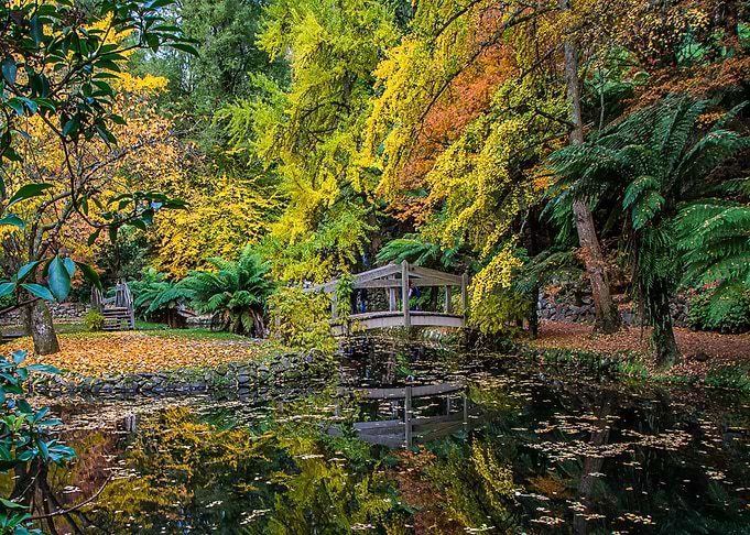 Nature