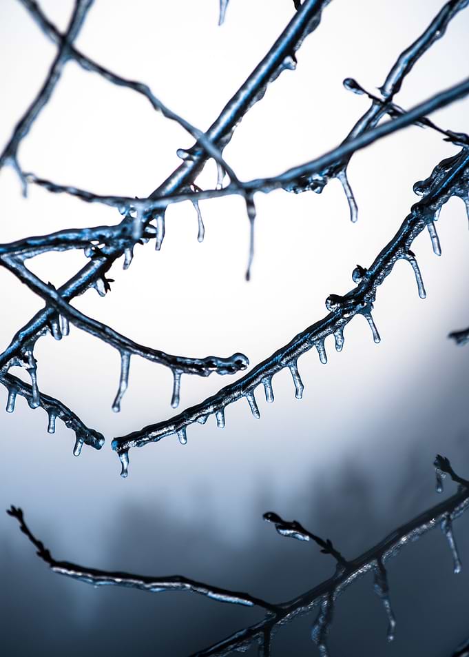 Frozen