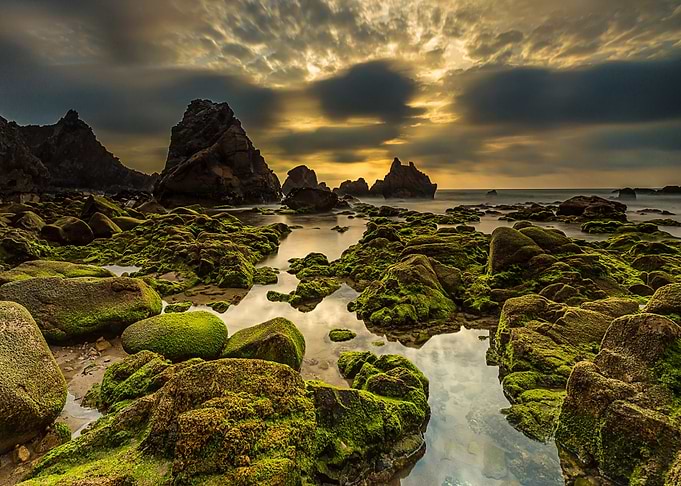 Nature