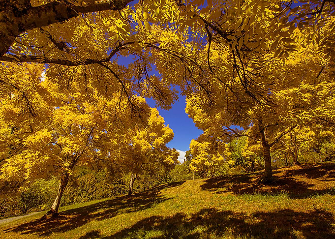 Nature