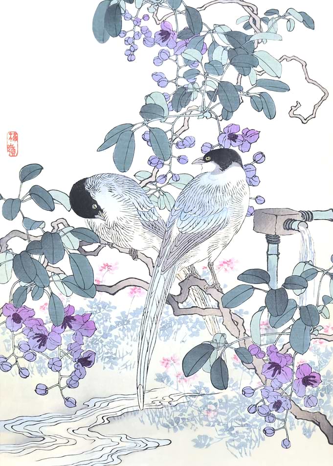Magpies And Purple Flowers