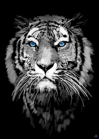 Tigers