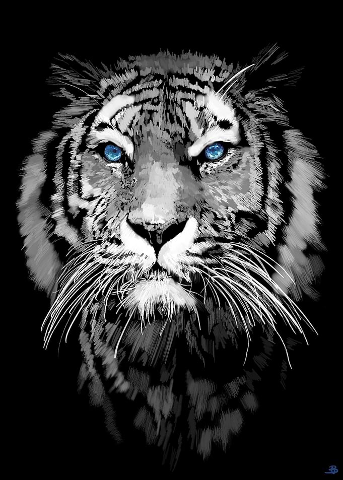 Tigers