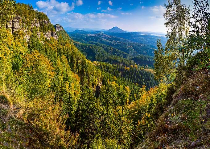 Nature