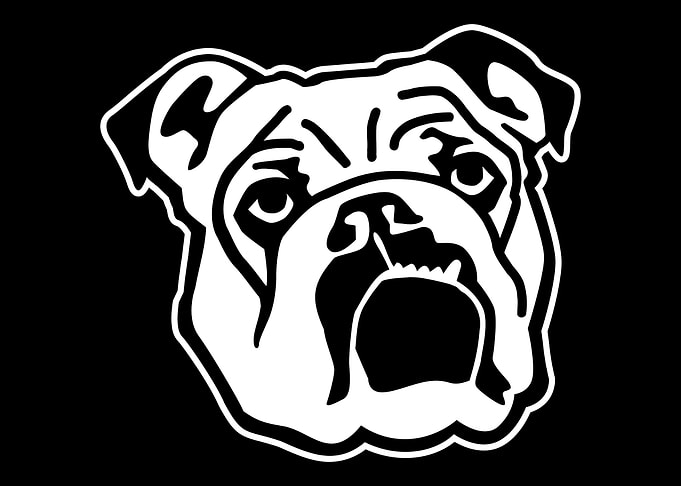 English Bulldog