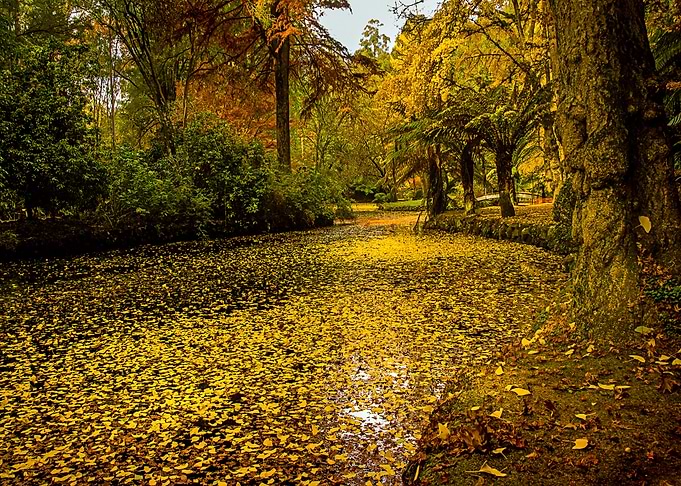 Nature