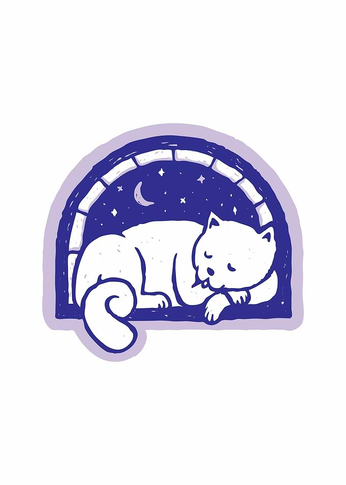 Cat Sleep