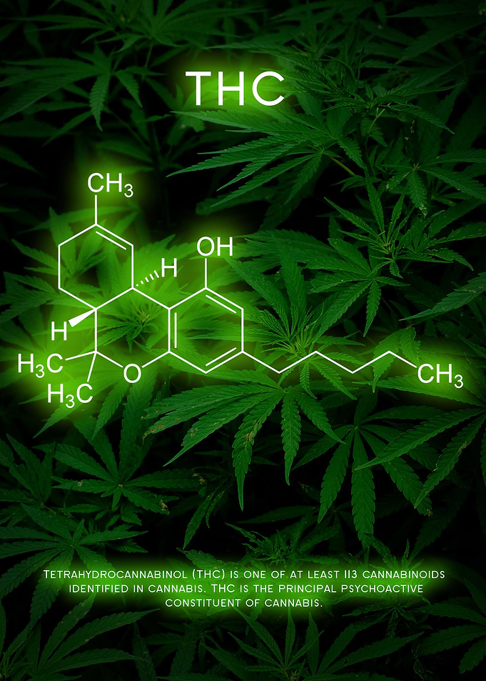 THC Molecule