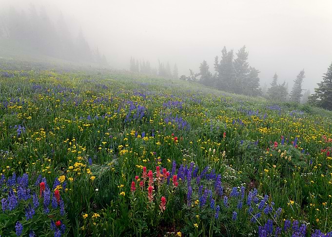 Nature