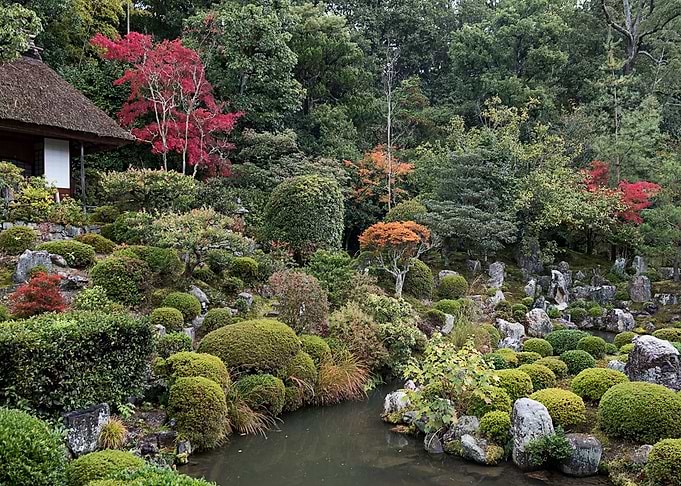Nature