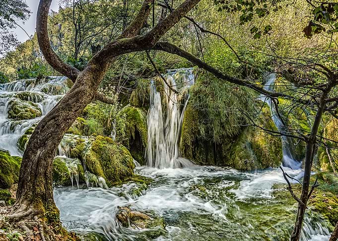 Nature