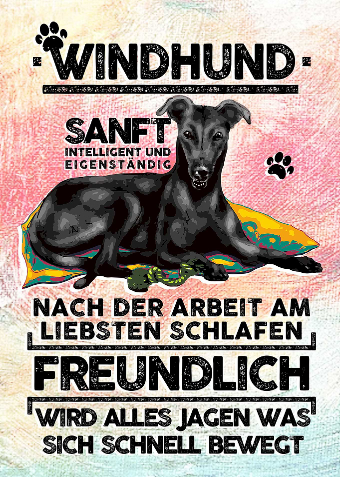 Windhund Portrait DE
