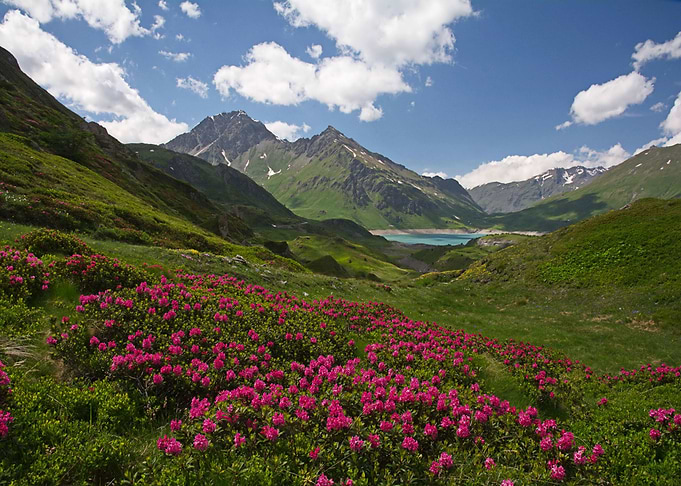 Nature