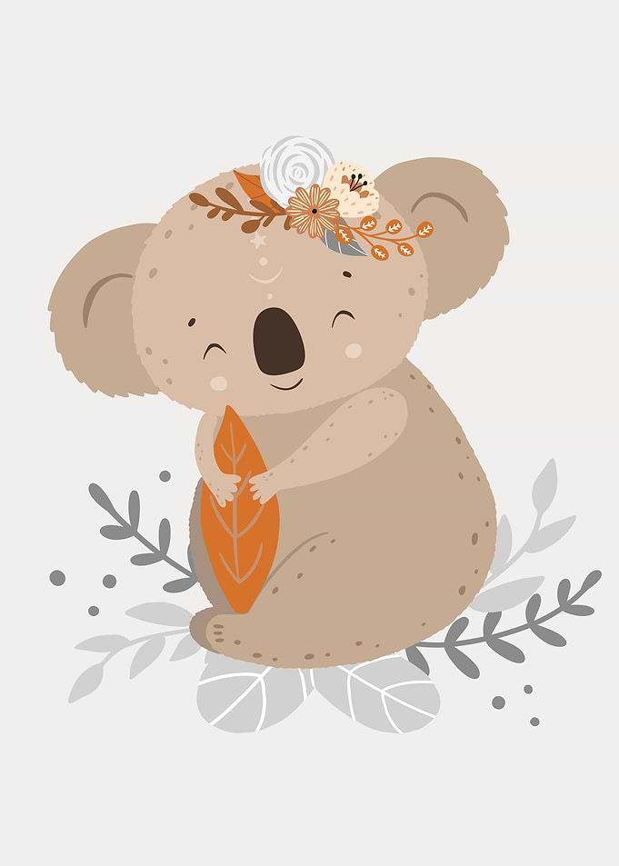 Cute Koala