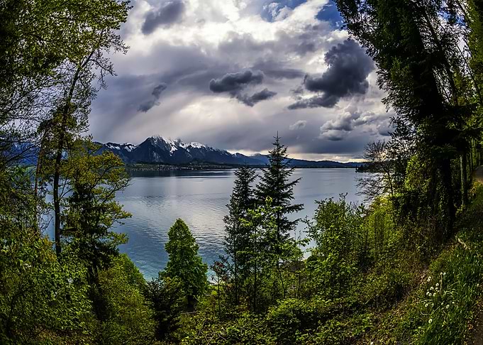Nature