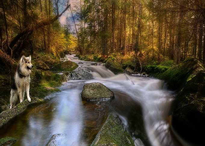 Nature