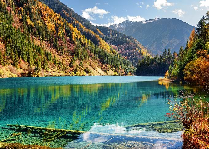 Nature