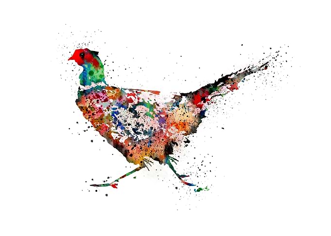 Pheasant