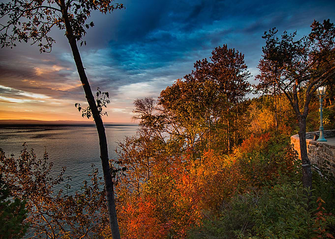 Nature