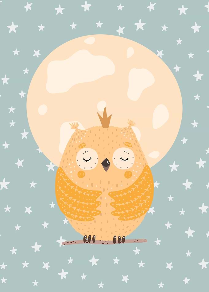 Cute owl