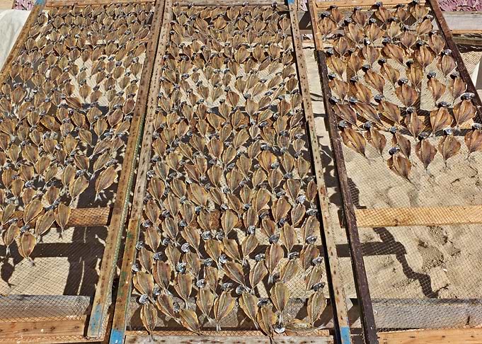 Dry fish in Nazare 05