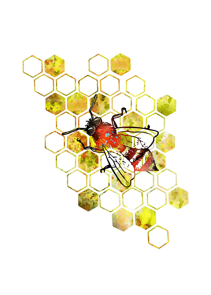 Honeycomb