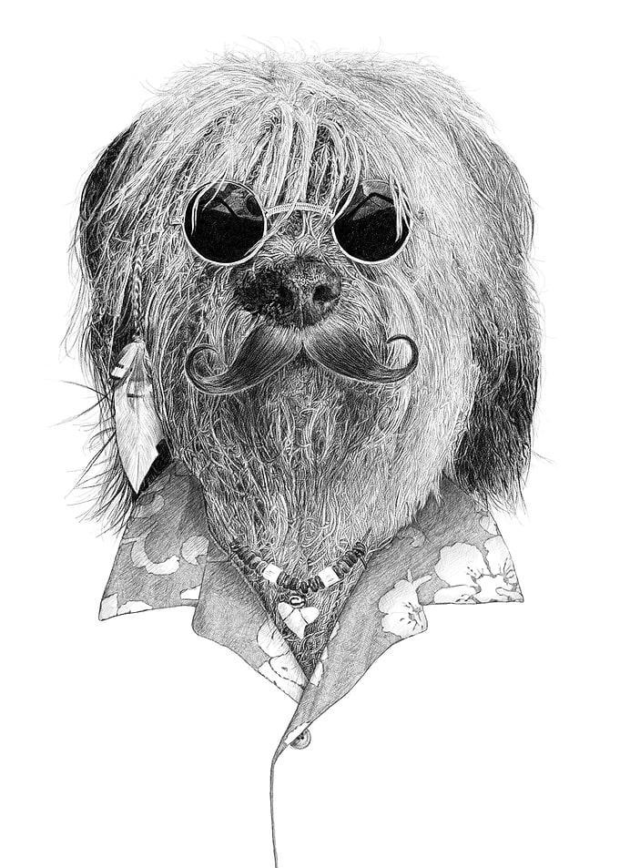 Hippie Surf Dog