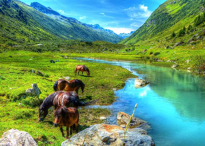 Nature