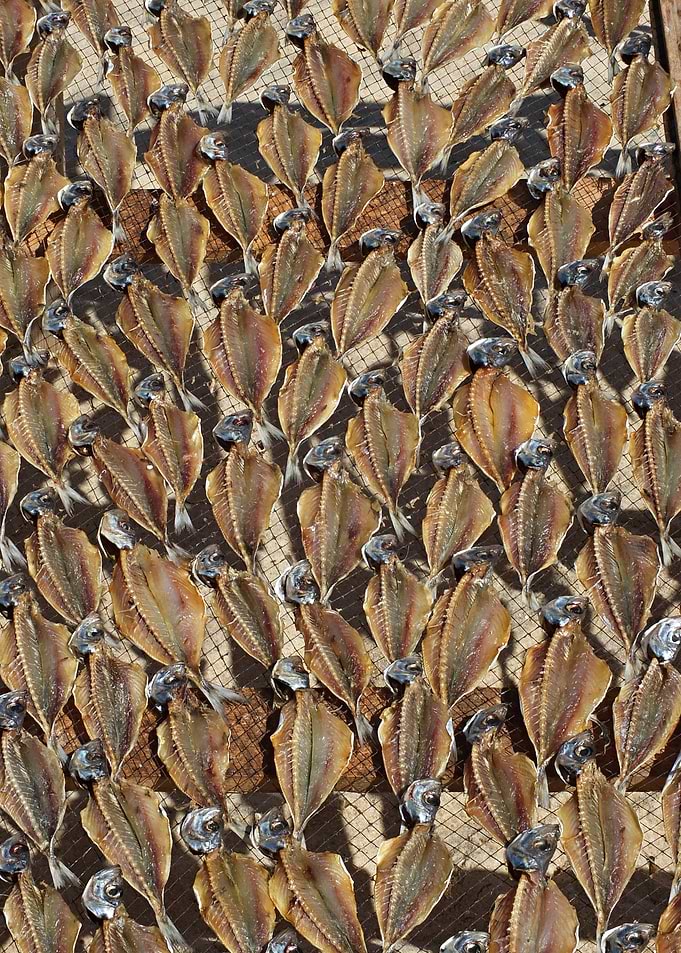 Dry fish in Nazare 04
