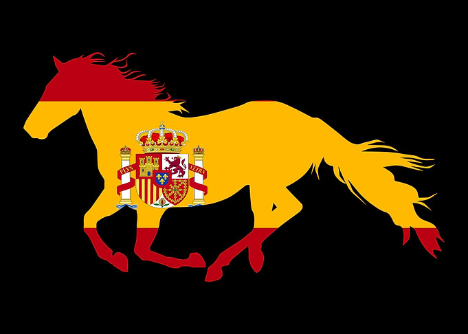 Spanish stallion
