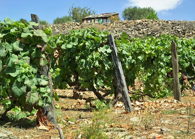 Douro Landscape 02