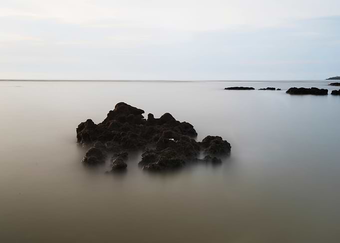 Algae reef at dusk