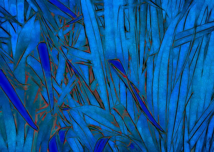 Reeds Blue Red