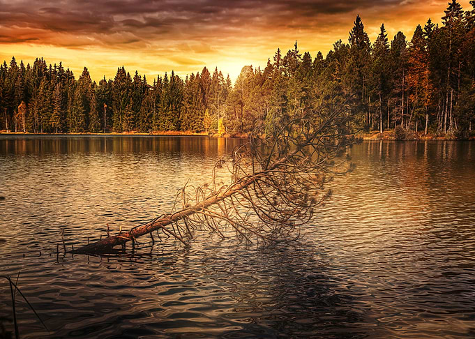 Nature