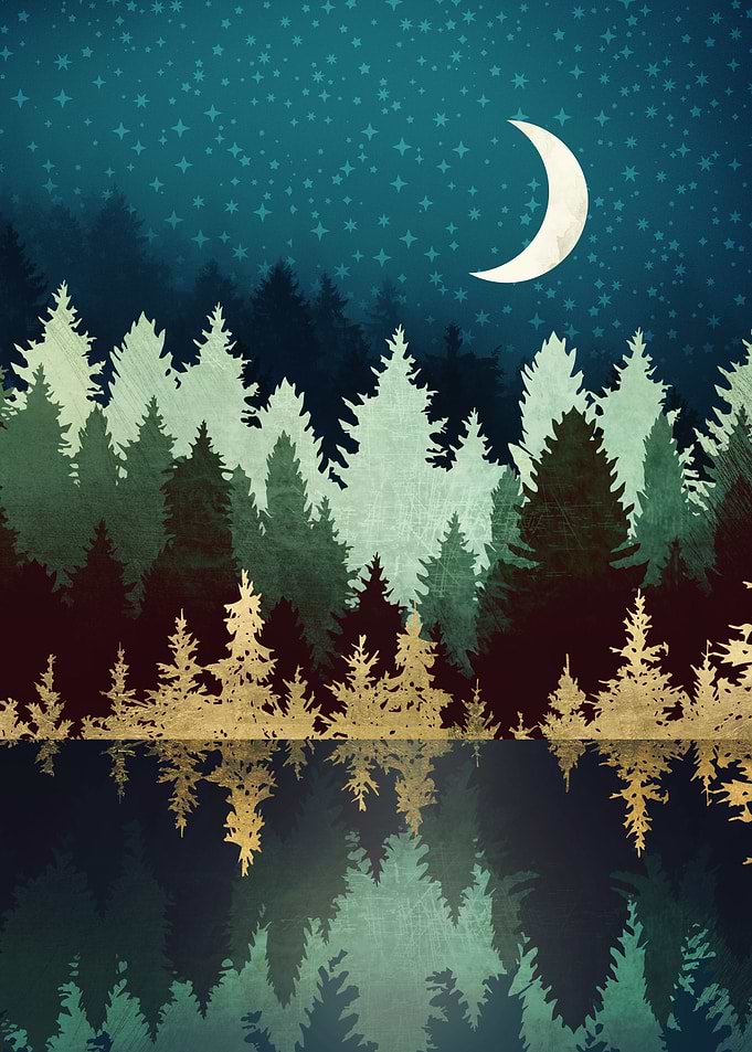 Star Forest Reflection
