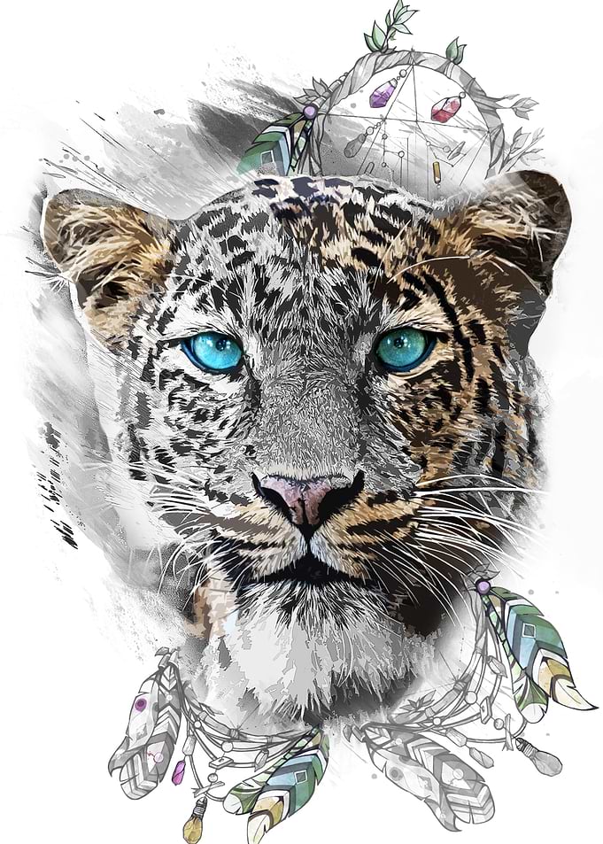 Cheetah in a dream
