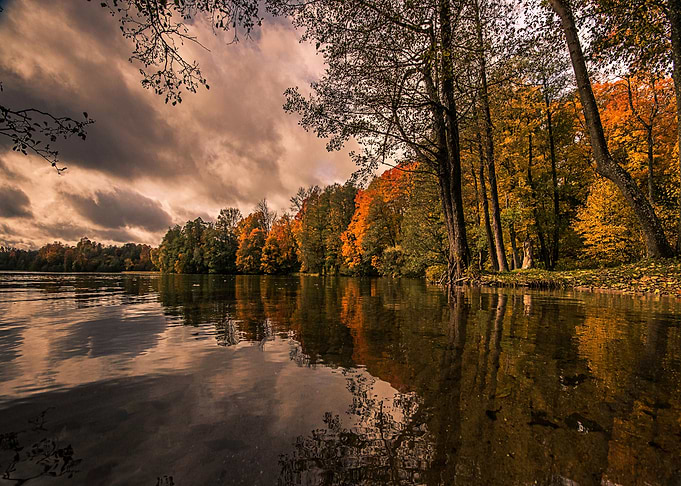 Nature