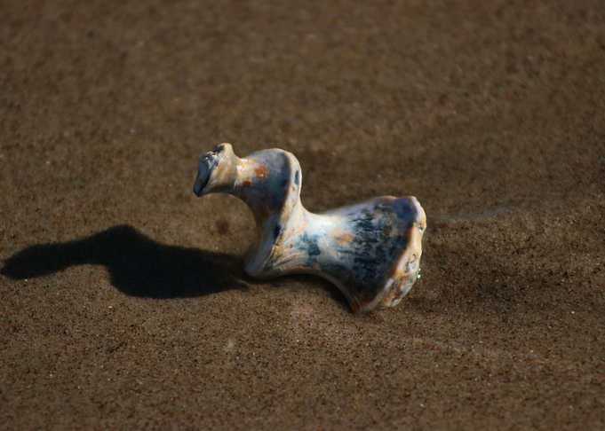 shell