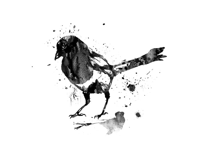 Magpie