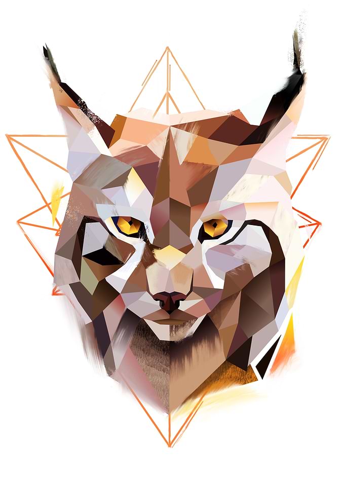 Lynx