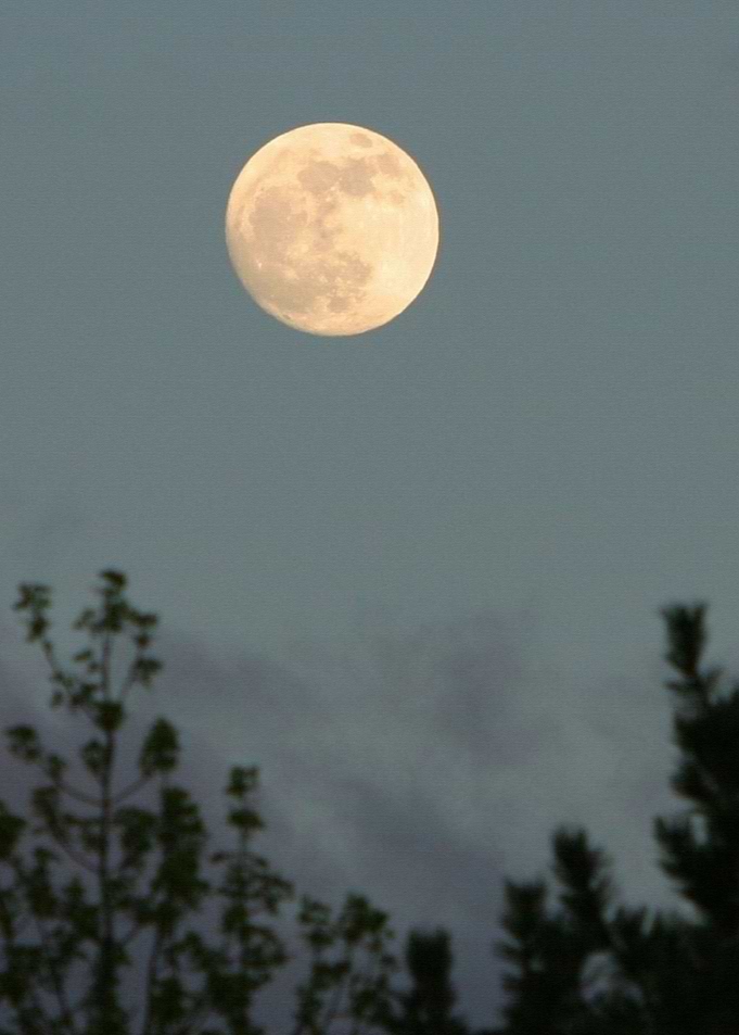 Moon