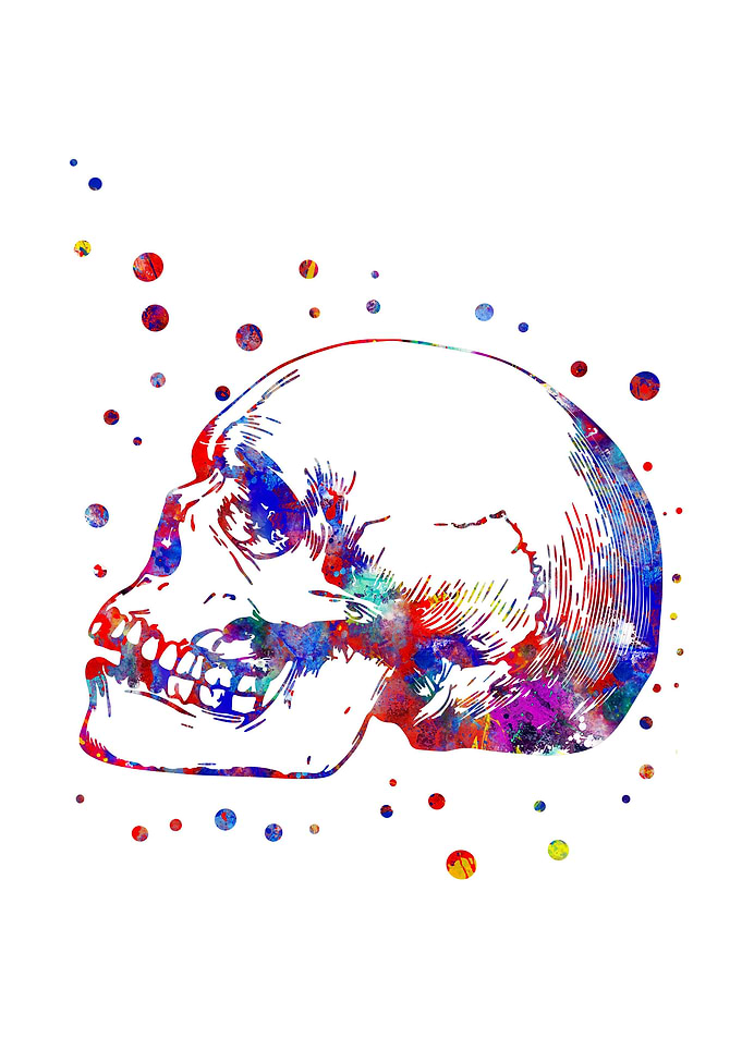 Skull