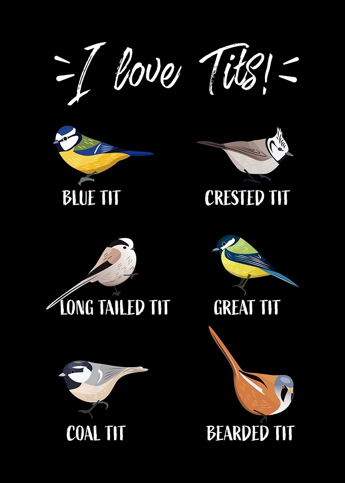 birdwatching birder gift I