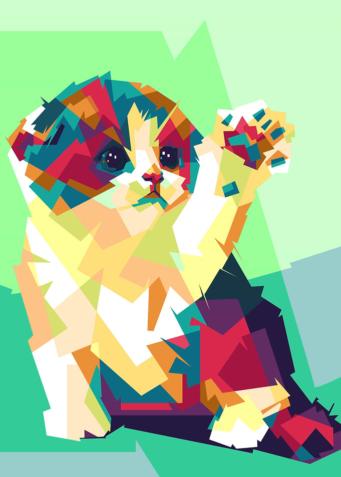 kitten