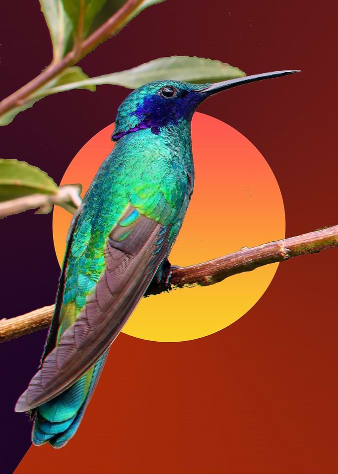 bird in 90s style