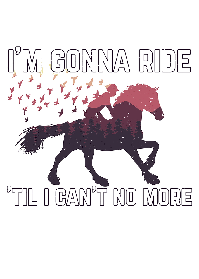 Im gonna ride