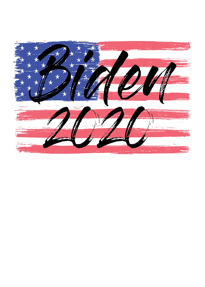 Biden Election Year 2020