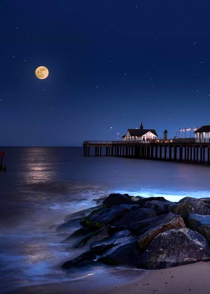 The Blue Dock